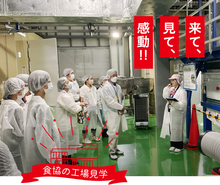 食協の工場見学